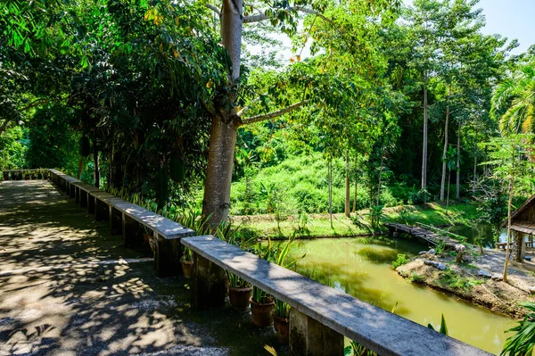 Naturpark Der Provinz Nan Thailand — Stockfoto