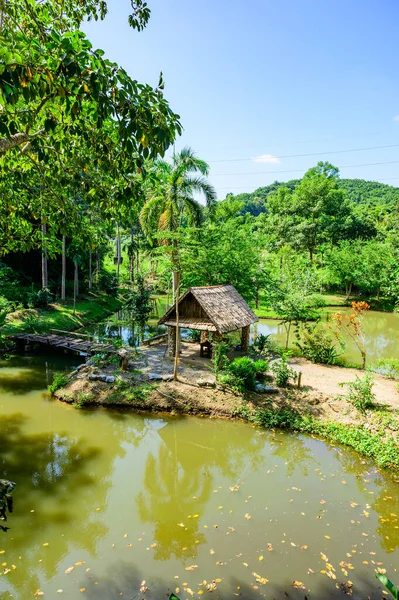 Parque Natural Provincia Nan Tailandia — Foto de Stock