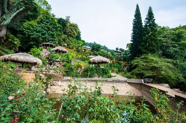 Парк Пагорбі Doi Pui Mong Провінція Чіангмай — стокове фото
