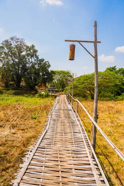 Wooden Bridge Rice Field Phrathat San Don Temple Lampang Province — 스톡 사진
