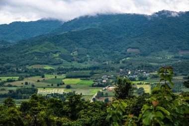 Phayao, Tayland 'daki Phu Langka bakış açısı.