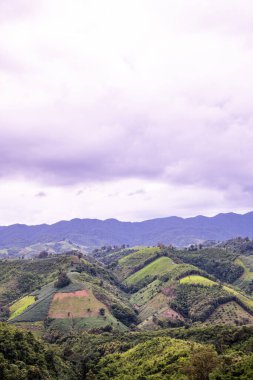 Tayland 'ın Phayao eyaletindeki dağ manzarası.
