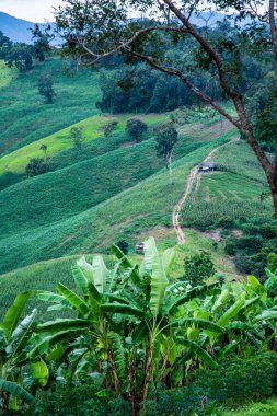Tayland 'ın Phayao eyaletindeki dağ manzarası.
