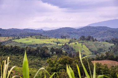 Tayland 'ın Phayao eyaletindeki dağ manzarası.