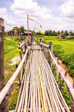 Tayland 'da pirinç tarlası olan küçük bir köprü..