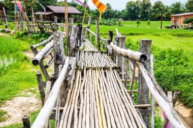 Tayland 'da pirinç tarlası olan küçük bir köprü..