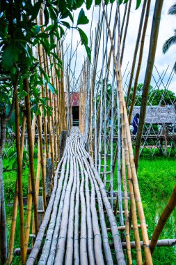 Tayland 'da pirinç tarlası olan küçük bir köprü..