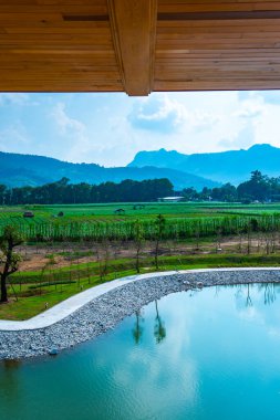 Hinoki topraklarındaki göl, Tayland.