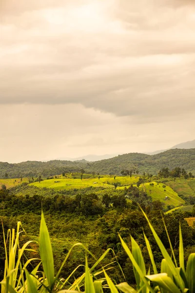 Tayland 'ın Phayao eyaletindeki dağ manzarası.