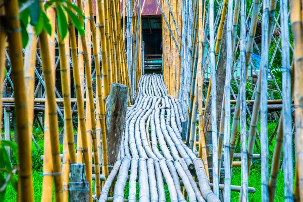泰国有稻田的小桥 — 图库照片