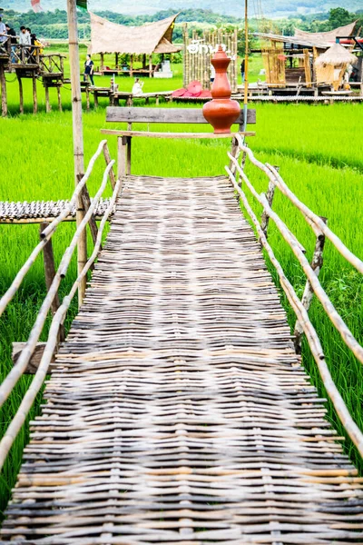 Petit Pont Avec Rizière Thaïlande — Photo