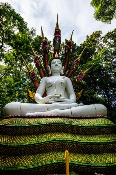 Прекрасная Статуя Белого Будды Храме Анальо Типаярам Таиланд — стоковое фото