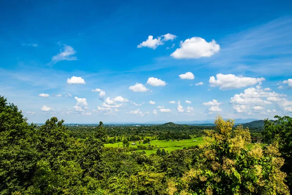 Reisfeld Der Provinz Chiangmai Thailand — Stockfoto