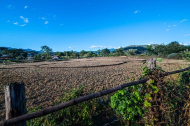 Agricultural field in Mueang Khong district of Chiangmai province, Thailand.