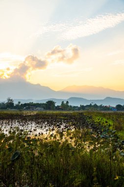 Akşam Phayao kırsalında, Tayland 'da.
