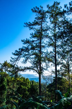 Mountain view at Doi Kiew Lom view point in Huai Nam Dang national park, Thailand.
