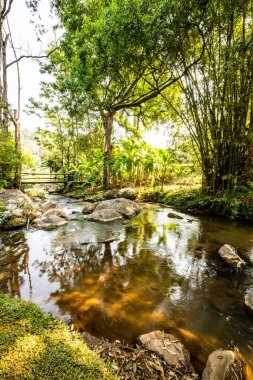 Tayland 'ın Chiangmai eyaletindeki dağ deresi..