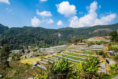 Tayland 'ın Chiangmai eyaletindeki Doi Inthanon Milli Parkı' nın dağ manzarası..