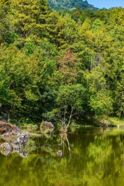 Lake view with reflection in Doi Inthanon national park, Thailand.