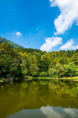 Lake view with reflection in Doi Inthanon national park, Thailand.