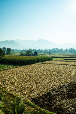 Sabahın erken saatlerinde, Tayland 'ın Pua ilçesindeki tarım arazisi..