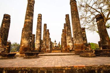 Antik Buda heykelinin sukhothai Tarih Parkı, Tayland.