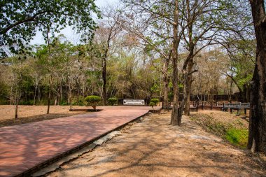 Si Satchanalai tarihi parkı, Tayland.