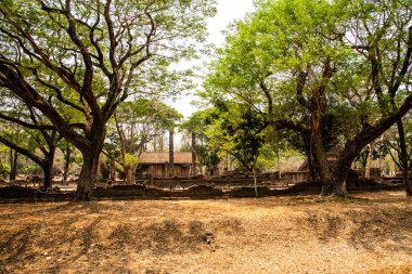 Nang Phaya tapınağı Si Satchanalai tarihi parkında, Tayland.