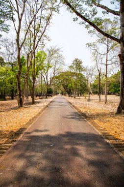 Si Satchanalai tarihi parkı, Tayland.