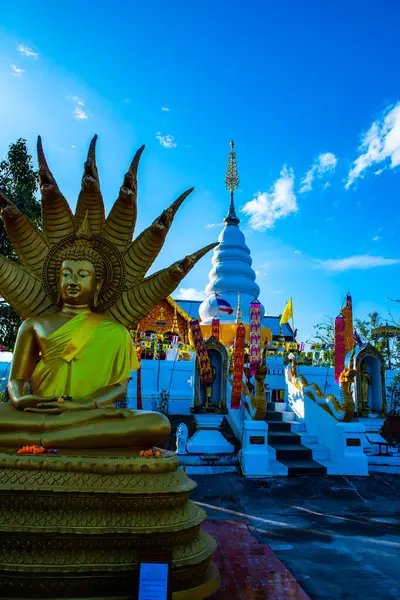 Белая Пагода Статуей Будды Храме Пхрата Дойленга Таиланд — стоковое фото