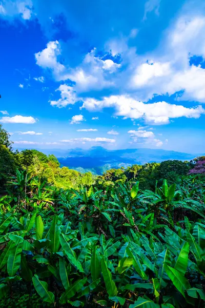 The mountains view with clouds in Huai Nam Dang national park, Thailand.