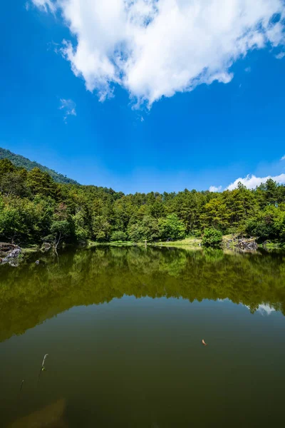Výhled Jezero Reflexí Národním Parku Doi Inthanon Thajsko — Stock fotografie