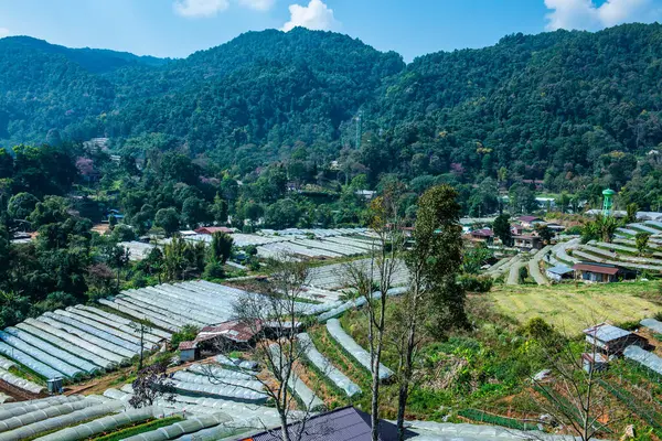 The mountain view of Doi Inthanon national park in Chiangmai province, Thailand.