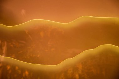 Ambient Light on The Wall, Thailand.