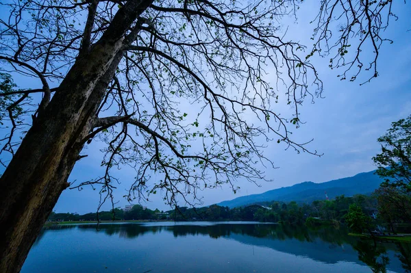 Ang Kaew Reservoir Chiangmai Province Evening Thailand — Stock fotografie