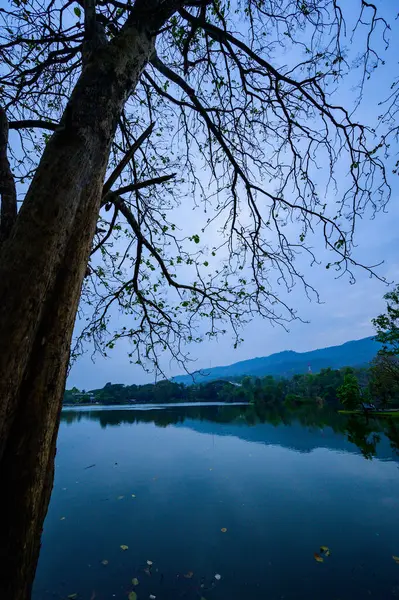 夕方のチェンマイ県のカウー貯水池 — ストック写真