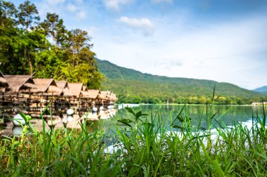 Green grass beside the lake with Huay Tueng Thao Background, Chiang Mai Province.