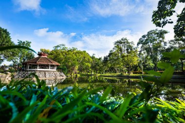 Shady Public Park in Chiang Mai Province, Thailand.