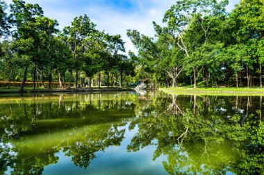 Shady Public Park in Chiang Mai Province, Thailand.
