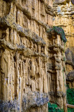 Pha Chor, the rocky cliffs are shaped like huge walls and pillars in Mae Wang National Park, Chiang Mai Province.