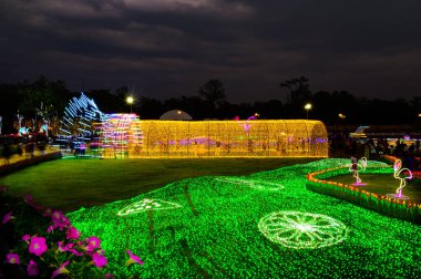 CHIANG MAI, THAILAND - December 17, 2022 : Flower garden with beautiful lighting during the New Year's festival at the Charming Chiang Mai Flower Festival 2023, Thailand.