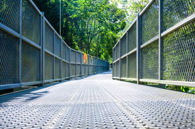 Treetop walkway of a botanical garden in Chiang Mai, Thailand.