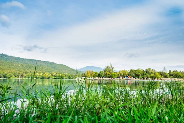 清迈怀元涛背景的湖边绿草 — 图库照片