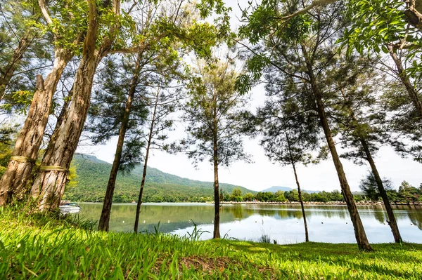 Morning View Huay Tueng Thao Lake Chiang Mai Province — Stockfoto