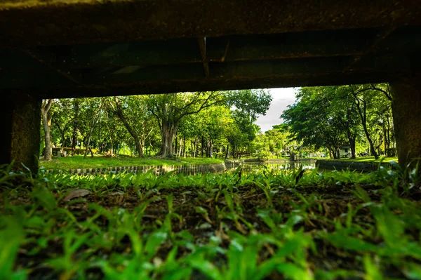 Public Park Bench Frame Chiang Mai Province Thailand — Fotografia de Stock