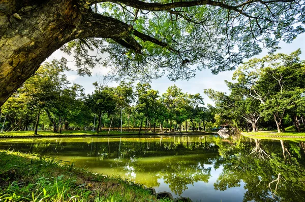 stock image Shady Public Park in Chiang Mai Province, Thailand.