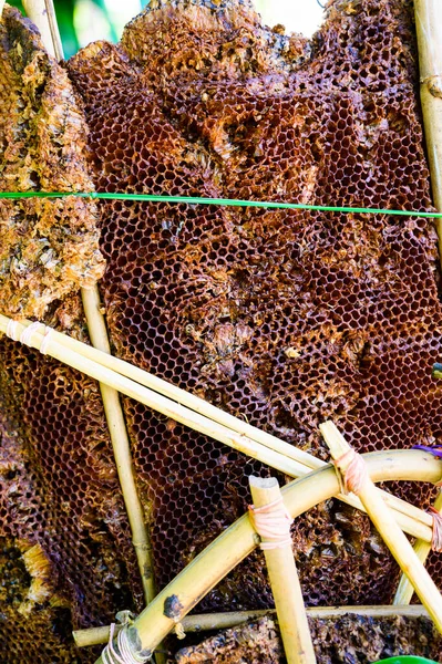 Wild Honeycomb Flea Market Nakhon Sawan Province — стоковое фото