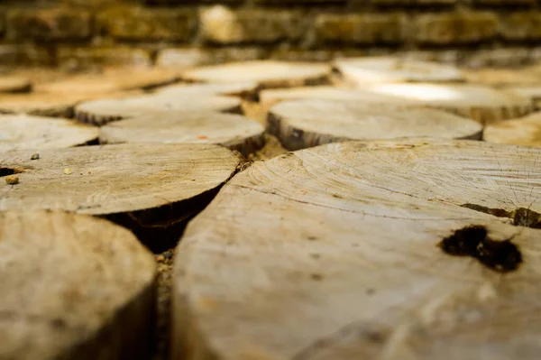 Cross Section Wooden Plank Made Logs Placed Floor Walkway Thailand — Fotografia de Stock