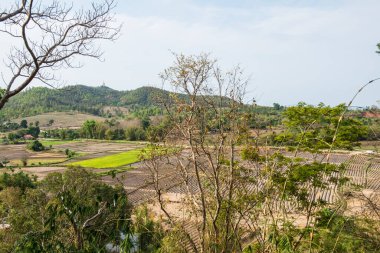 Chiang Rai, Tayland 'daki Mae Khachan manzarası.