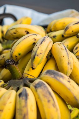 Bir grup ekilmiş muz, Tayland.